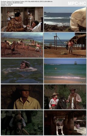 The Castaway Cowboy 1974 720p AMZN WEB-DL DDP2.0 x264-ABM
