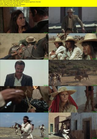 100 Rifles 1969 BRRip XviD MP3-XVID