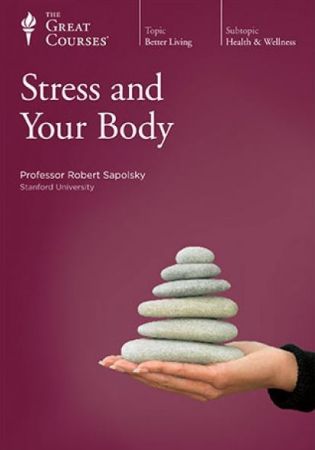 Stress and Your Body