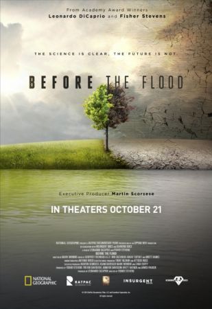 Before the Flood 2016 1080p AMZN WEBRip DDP5.1 x264-BLUTONIUM