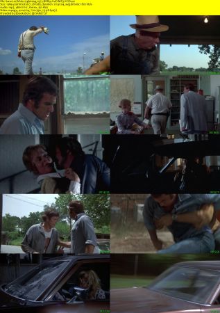 White Lightning 1973 BRRip XviD MP3-XVID