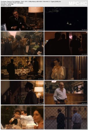 The Godfather Part II 1974 1080p Bluray x265 HEVC 10bit AAC 5.1 Tigole QXR