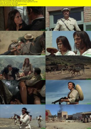 100 Rifles 1969 1080p BluRay H264 AAC-RARBG