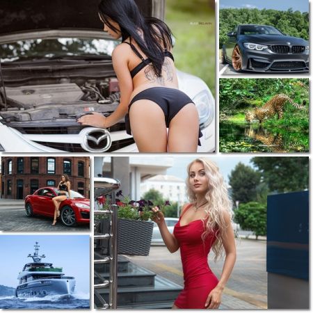 Desktop Beautiful Wallpapers Pack 1195