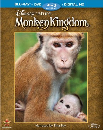 Monkey Kingdom 2015 1080p BluRay x265 HEVC 10bit AAC 5.1 Silence QXR