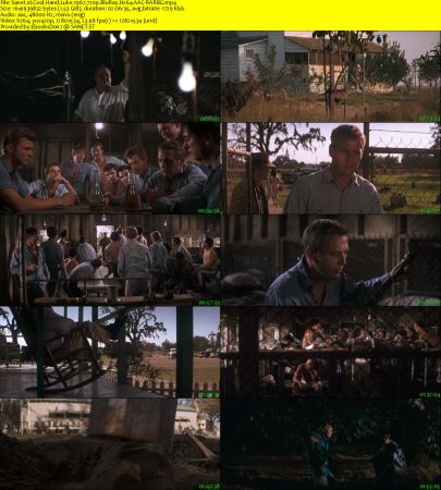 Cool Hand Luke 1967 720p BluRay H264 AAC-RARBG
