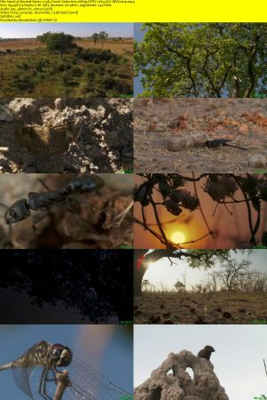 BlueAntMedia - Rooted: Series 1 (2017) 1080p HDTV x264 AAC MVGroup