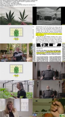 Netflix Explained Series 1 EP01-20 2018 1080p NF WEB-DL DD5.1 x264-NTb