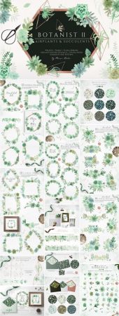 Botanist II - Airplants &amp; Succulents - 2884652