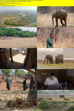 Smithsonian Earth - Guardians of the Wild: Series 1 (2017) 1080p HDTV x264 AAC MVGroup