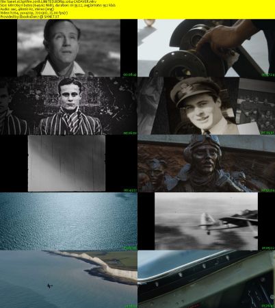 Spitfire 2018 LiMiTED BDRip x264-CADAVER