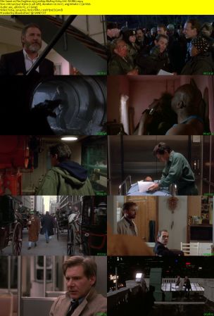 The Fugitive 1993 1080p BluRay H264 AAC-RARBG