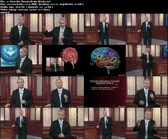 Origins of the Human Mind (The Great Courses)