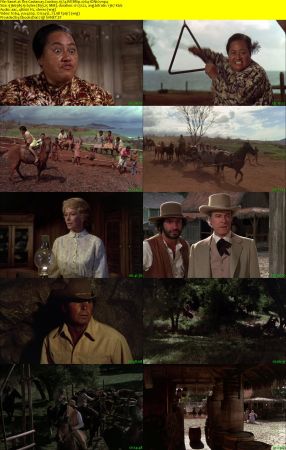 The Castaway Cowboy 1974 WEBRip x264-ION10