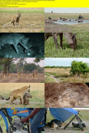 Smithsonian Earth - Guardians of the Wild: Series 1 (2017) 1080p HDTV x264 AAC MVGroup