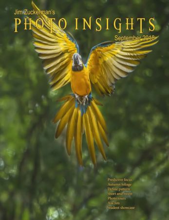 Photo Insights - September 2018