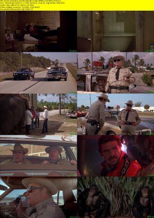 Smokey and the Bandit II 1980 BRRip XviD MP3-XVID