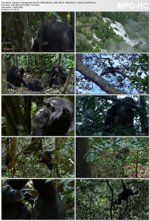 Chimpanzee 2012 1080p BluRay x265 HEVC 10bit AAC 5.1 Silence QXR