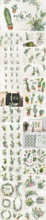 Cacti Watercolor Cactuses Clipart - 2917005