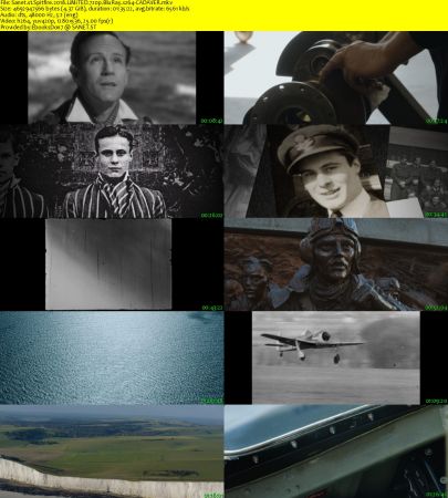 Spitfire 2018 LiMiTED 720p BluRay x264-CADAVER