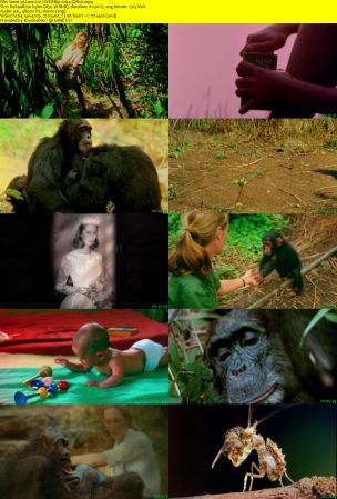 Jane 2017 WEBRip x264-ION10