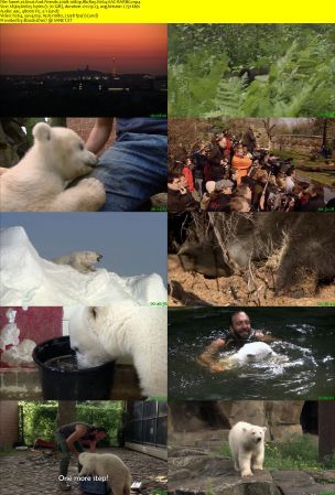 Knut And Friends 2008 1080p BluRay H264 AAC-RARBG