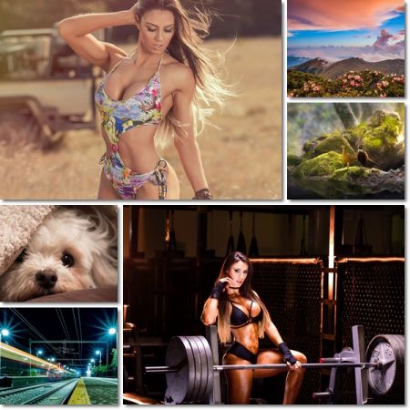 Wallpapers Desktop Beautiful Pack 1204