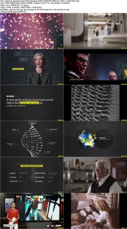 Netflix Explained Series 1 EP01-20 2018 1080p NF WEB-DL DD5.1 x264-NTb