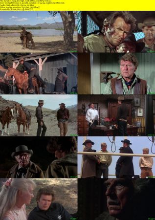 Hang Em High 1968 BRRip XviD MP3-XVID