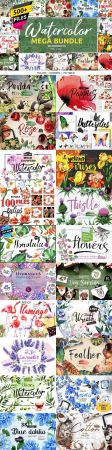 Dealjumbo - Watercolor Illustrations &amp; Graphic