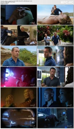 Hawaii Five-0 2010 S09E0 720p HEVC x265-MeGusta