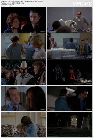Dogs 1976 BluRay 10Bit 1080p AC3 H265-d3g