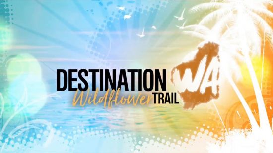Destination WA Wildflower Trial (2018) 720p WEB h264-KOMPOST