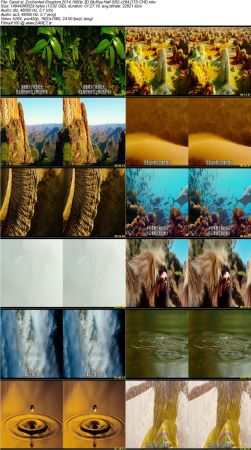 Enchanted Kingdom 2014 1080p 3D BluRay Half-SBS x264 DTS-CHD