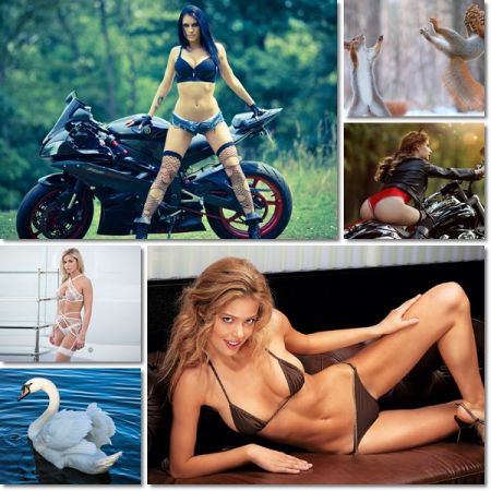 Beautiful Wallpapers Pack 1208
