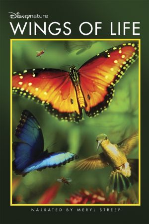 DisneyNature Wings of Life 2011 720p BluRay-HDCLUB