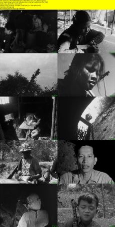 Argos Films - 17th Parallel: Vietnam in War (1968) DVD x264 AAC MVGroup