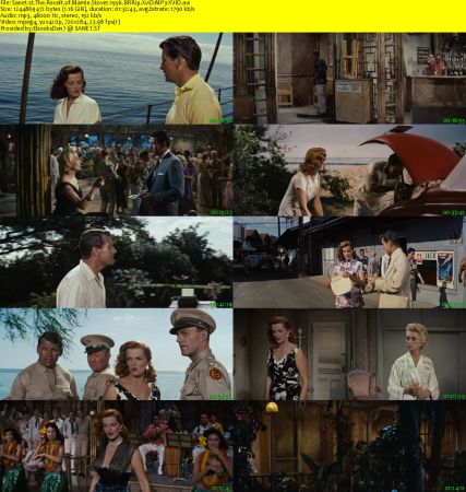 The Revolt of Mamie Stover 1956 BRRip XviD MP3-XVID