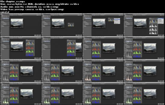 Photoshop: Customization