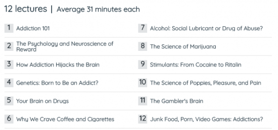 The Addictive Brain (The Great Courses)