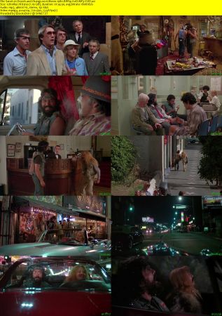 Cheech and Chongs next Movie 1980 BRRip XviD MP3-XVID