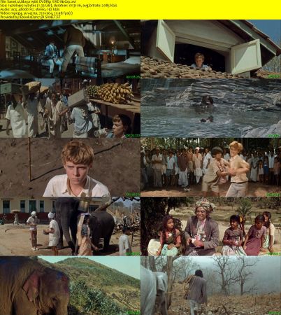 Maya 1966 DVDRip XViD NoGrp