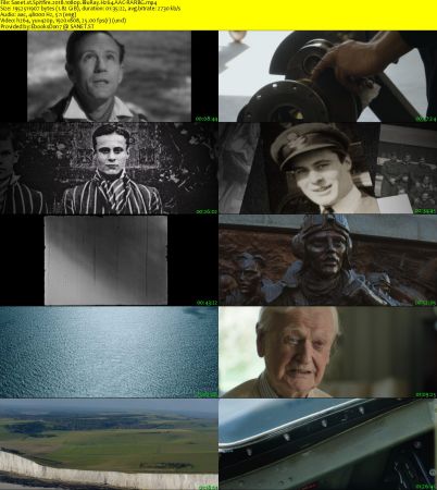 Spitfire 2018 1080p BluRay H264 AAC-RARBG
