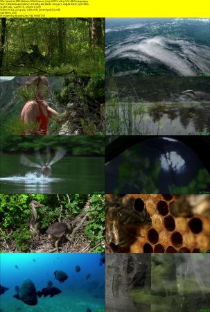 PBS Nature: - Wild France (2015) 720p HDTV x264 AAC MVGroup