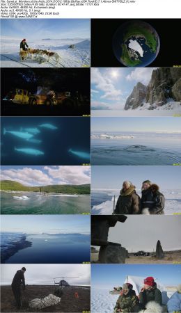 Wonders of the Arctic 2014 DOCU 1080p BluRay x264 TrueHD 7.1 Atmos-SWTYBLZ