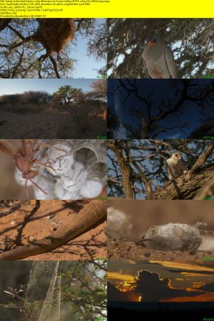 BlueAntMedia - Rooted: Series 1 (2017) 1080p HDTV x264 AAC MVGroup
