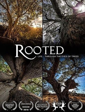BlueAntMedia - Rooted: Series 1 (2017) 1080p HDTV x264 AAC MVGroup