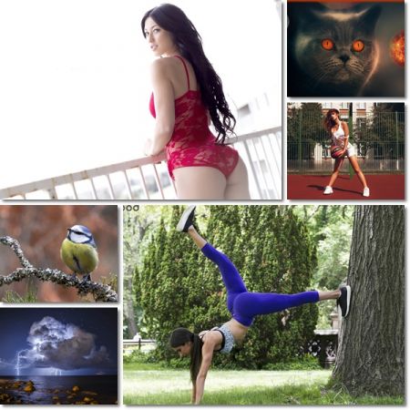 Beautiful Wallpapers Pack 1196