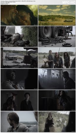 Fear the Walking Dead S04E14 1080p HEVC x265-MeGusta