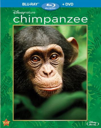 Chimpanzee 2012 1080p BluRay x265 HEVC 10bit AAC 5.1 Silence QXR